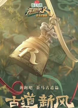 奔跑吧·茶马古道篇 20241126期