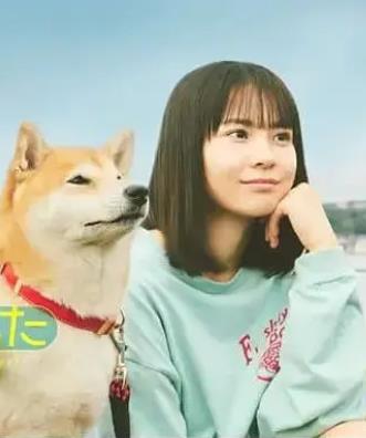 今日份的散步 第08集(大结局)