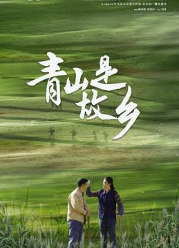 青山是故乡 第11集