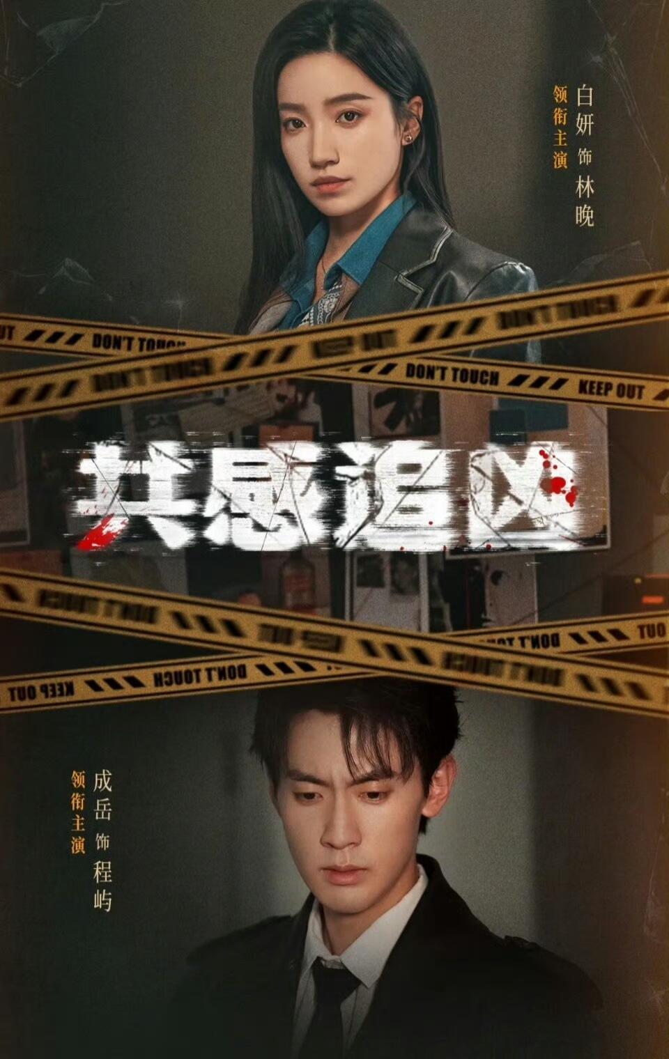 共感追凶(全集)