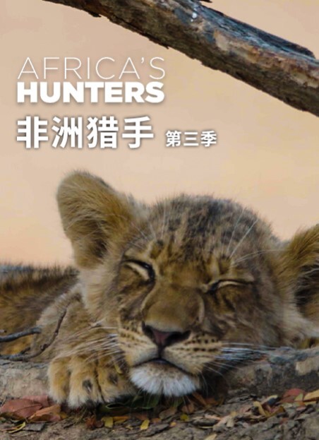 非洲猎手们 第三季(全集)